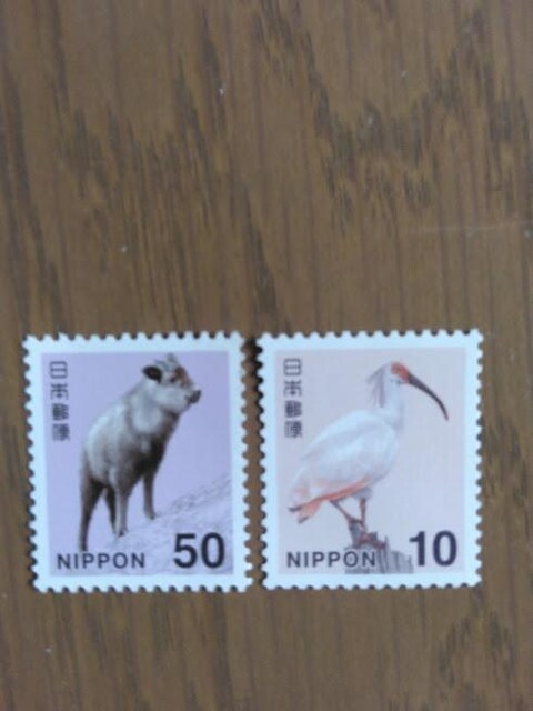 gp@ʐ؎10~1 50~1@ 