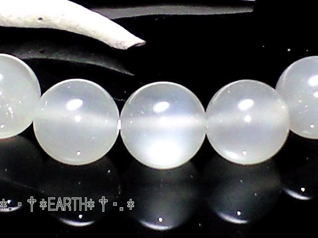 VR΁8~CgO[[Xg[  ANZT[/v 