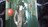 !ڱ!ށX/ROCKBOUND NEIGHBORS/CD+BDi