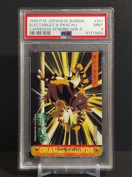 PSA9@J[h_X |PbgX^[@1999N@Gu[΃sJ`E