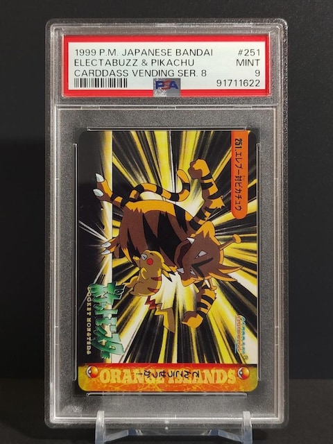 PSA9@J[h_X |PbgX^[@1999N@Gu[΃sJ`E   g[fBOJ[h 