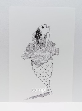 IWiCXg `CXg  AiO A[g G   mN nhCh CeA art fish