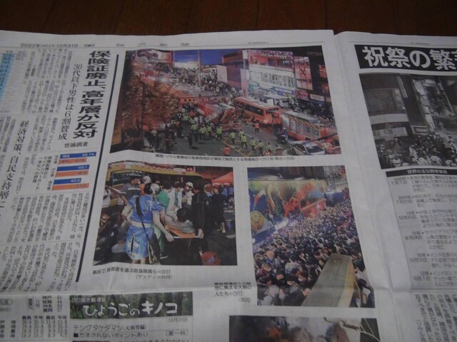 2022N1031nEB[S̐VL!B  zr[ 