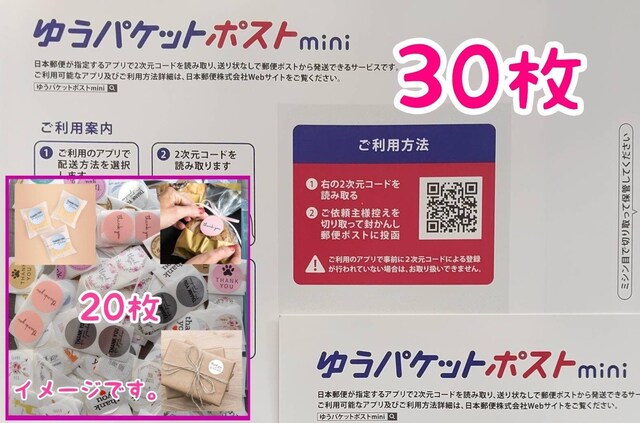 yzz䂤pPbg|Xgmini 30+TL[V[ 20 