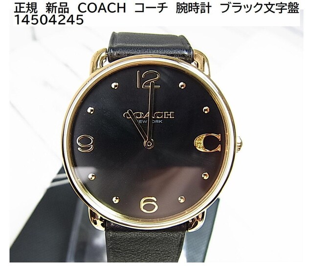 500~X^K@Vi@COACH@R[`@rv@ubN 14504245@ 