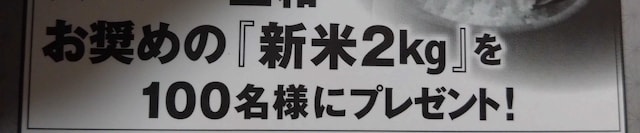 ^CAbv/V2L/1   `Pbg/ 