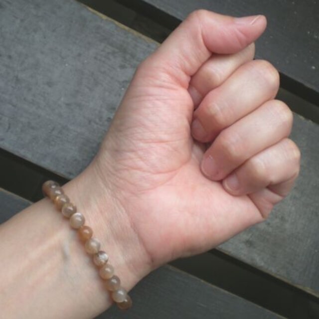 6~ʁ@T[Xg[uXbg  ANZT[/v 