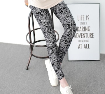  ި ڷݽ  spider web w偂̑ ڷ ڷݽ