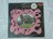 IN THE PLAIN / THE SAVAGE ROSE US.org.promo盤LP