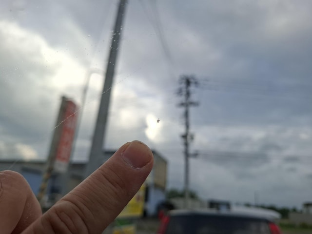 Ԍ Ƃ肠{bNX ZiCC25 2WD  /oCN