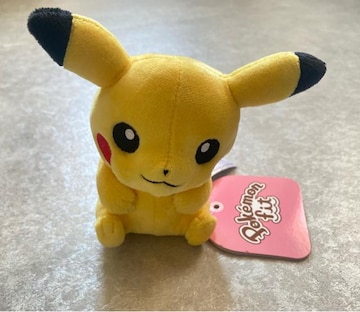 |PZ^[IWi Pokemon fit sJ`E