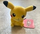 |PZ^[IWi Pokemon fit sJ`E