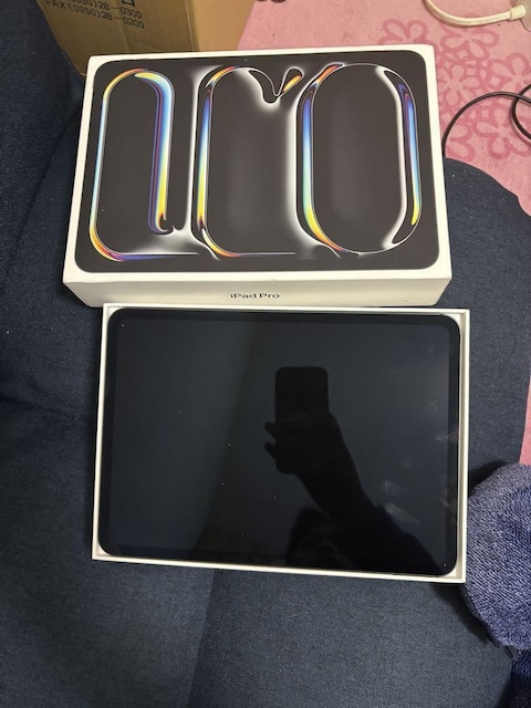 iPadPro 11C`5 WiFif 256GB  PC{/Ӌ@ 