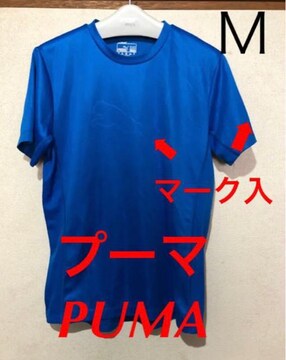 PUMAv[}@ucool cellvfށ@gbvX@X|[cɂ