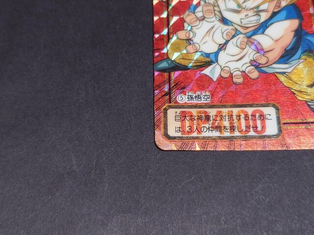 hS{[ J[h_X {e 26e No.5  / o[XvYJ[h hS{[GT DBGT R  Aj/R~bN/LN^[ 
