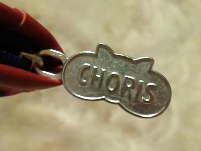 CHORIS }`P[X JAoN  Aj/R~bN/LN^[ 