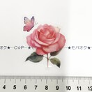 9*R[WV[3