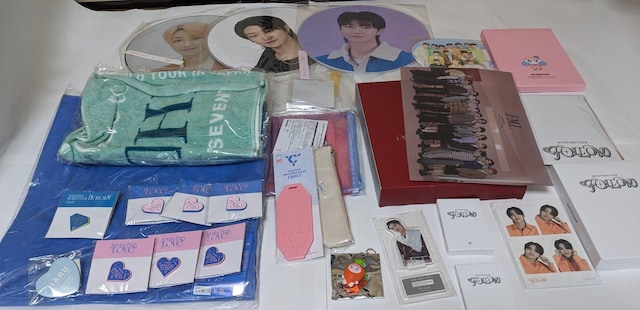 SEVENTEEN ObY ܂Ƃߔ t[fB  obO T ^I GXNvX Wn fBGCg W  ^gObY 