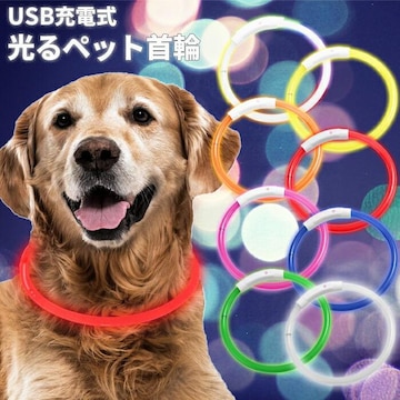 ߉\ p LED a21cm USB[d sN J[L