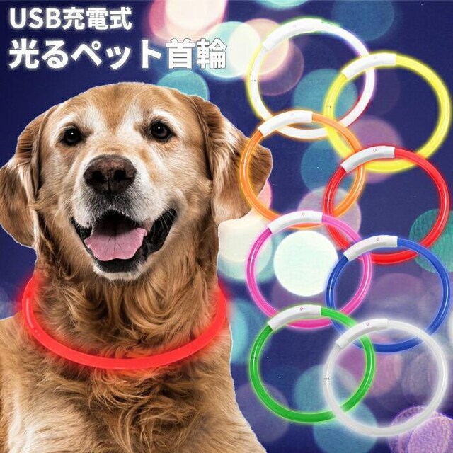 ߉\ p LED a21cm USB[d sN J[L   ybg/|/| 