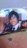 CErzʐ^艻σ|[`