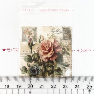 16*׽āװޭV[@16