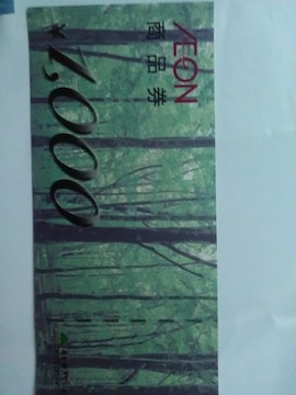 CI1000iVi