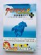 _[r[X^IP@SUKCh{ _rX^Sl`̏@U{@с@Ł@Derby Stallion Guide PSP