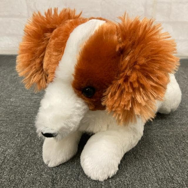  Vi ^Ot R[CPzfBĜł ʂ   