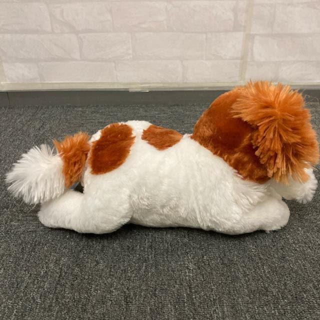  Vi ^Ot R[CPzfBĜł ʂ   