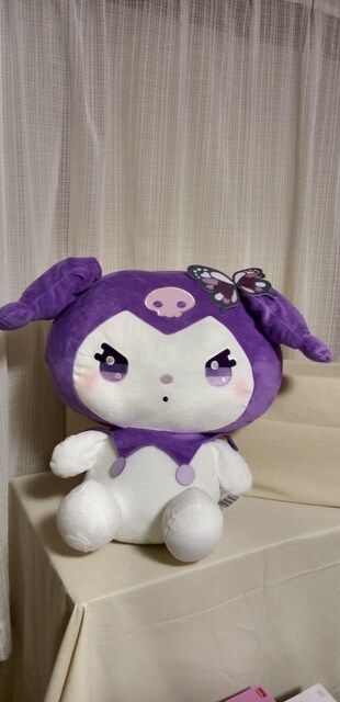 邩@TILN^[Y@X[p[[Wʂ݁@N~ 