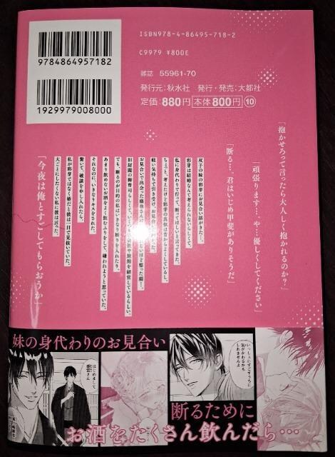 DAITO COMICS TLVY100Xp_䑂i͕b@Z~bJ/瑓