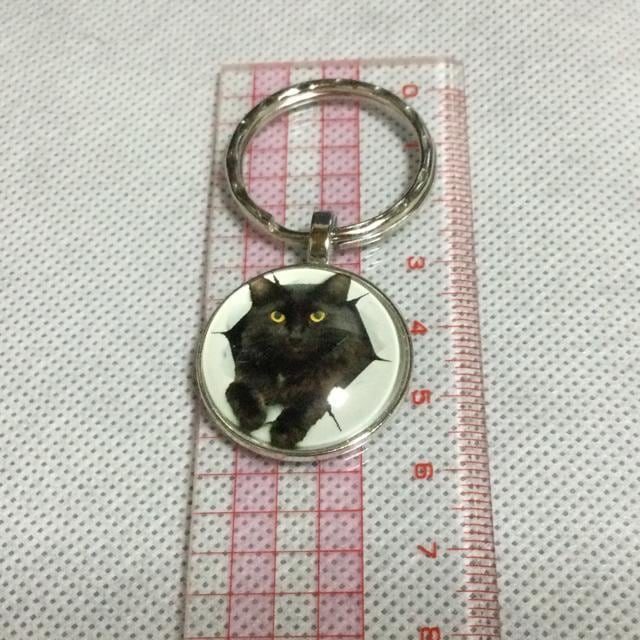 C^YL@L[z_[