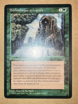 MTG LEG X̒mb/Sylvan Library C^A 1