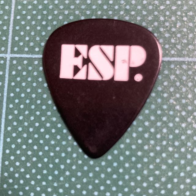 80N THE ROLLING STONES / EEbhmodel M^[sbN  ESP [OEXg[Y  ^gObY 