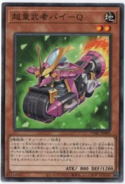 VY@fGX^[Y@CYBER STOM ACCESS@CYAC-JP003@d҃oC-p@gp   g[fBOJ[h 