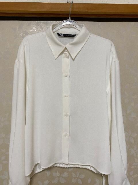 ZARA 񂵑luEX@pҏ