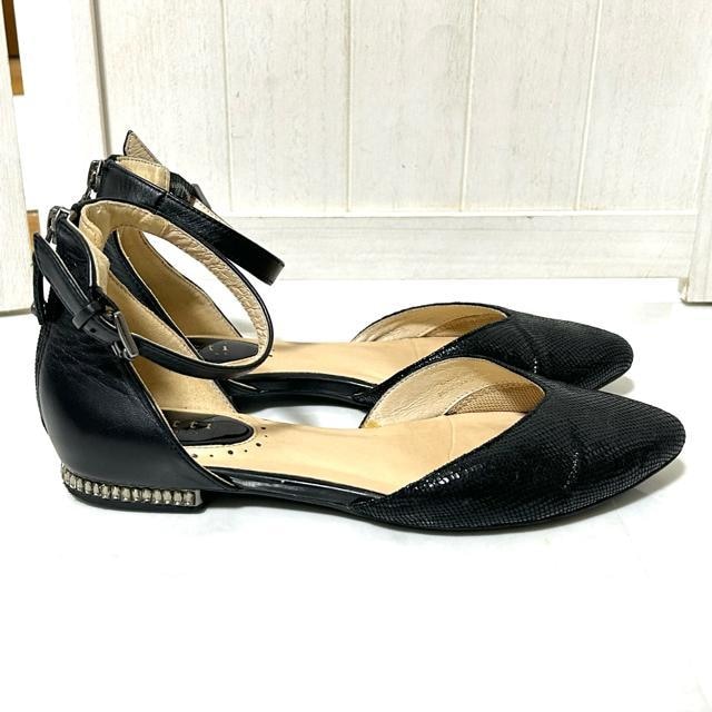 Pitti sbeB {v ANXgbvpvX 23.5cm  t@bV 