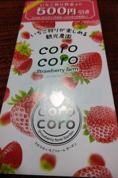 y񔄕izRRt@[ 500~