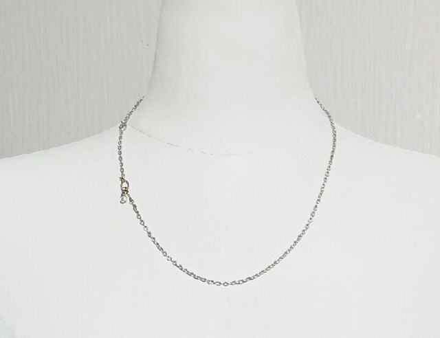 LION HEART 18K X^[OVo[ `F[lbNX