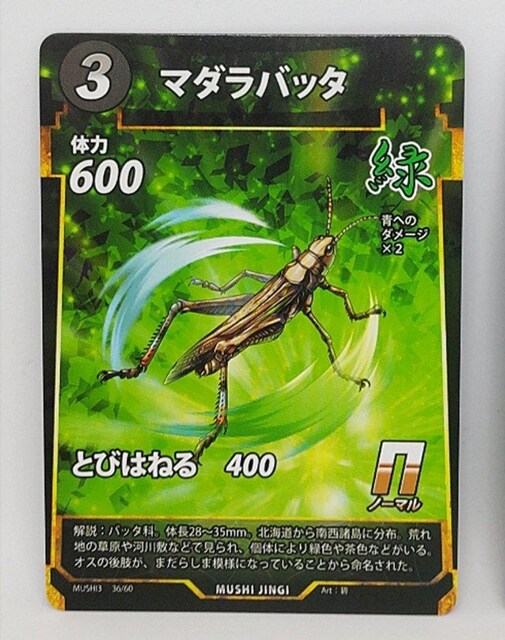 峐_@}_ob^   g[fBOJ[h 