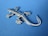 Gecko QbR[/{/IN[bLdl ABS yʃ^Cv GuVi