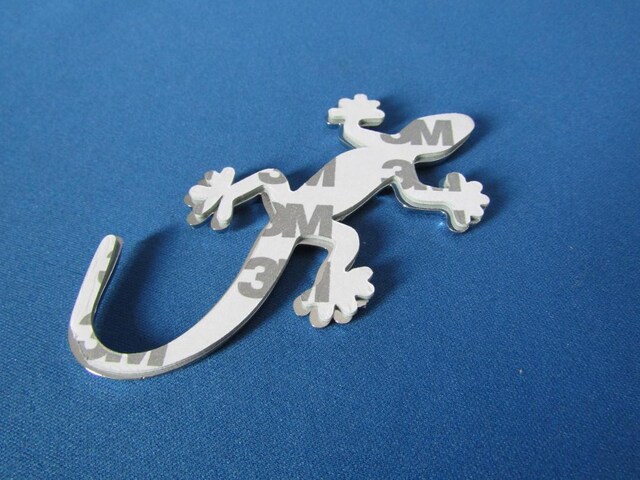 Gecko QbR[/{/IN[bLdl ABS yʃ^Cv GuVi  /oCN