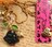 新品ゴスロリ姫系 黒薔薇ネックレスBETSEY JOHNSON