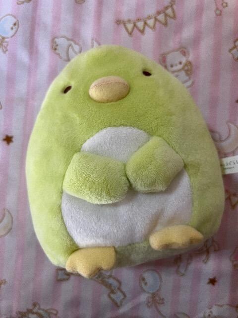 ݂R炵܌|[`@ʂ 