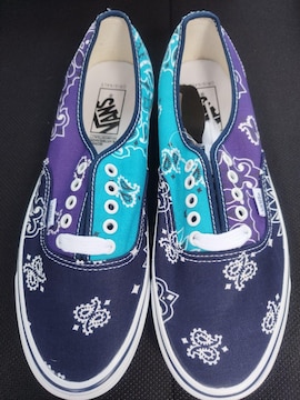 VANS I[ZeBbN xhEB 28.0