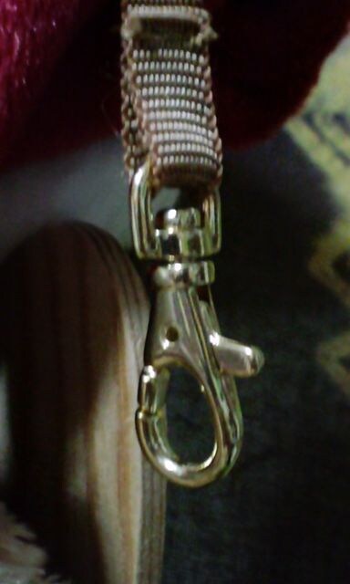 TDS2007_btB[NX}XT^ʂ݃|[`A   