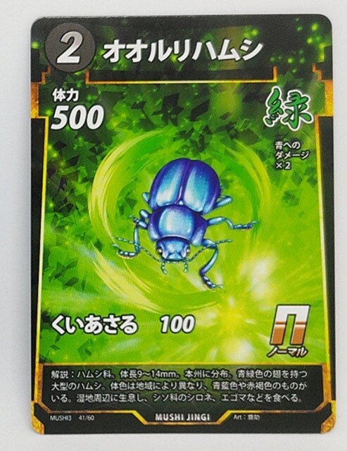 峐_@IInV   g[fBOJ[h 