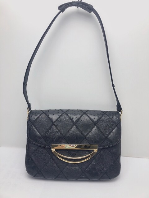 B163 Reptile I[Xgb`v V_[obO t  t@bV 
