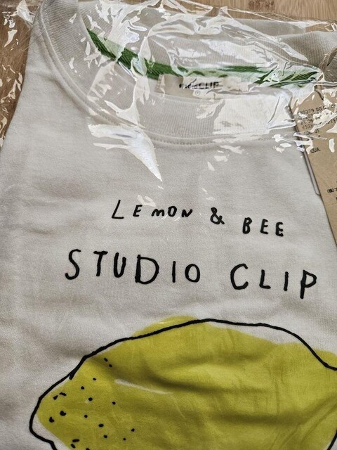 studio CLIPCXgvgTEE@F